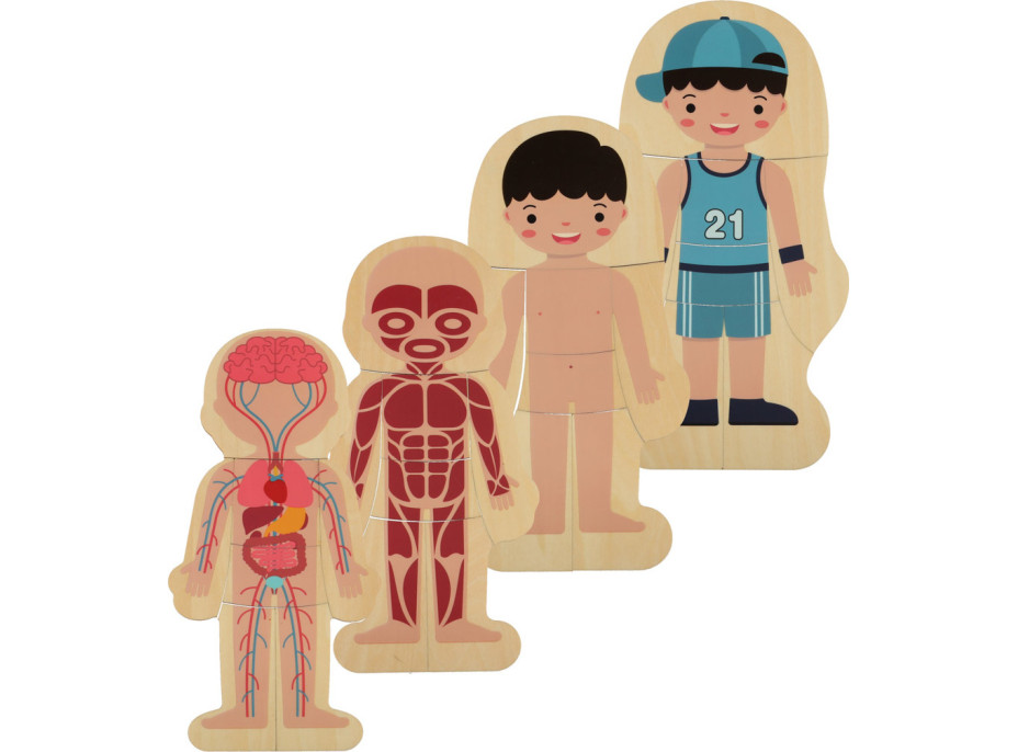 Drevené vrstvené Montessori puzzle Telo - chlapec