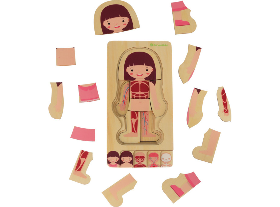 Drevené vrstvené Montessori puzzle Telo - dievča