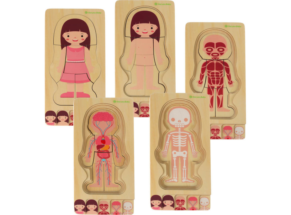 Drevené vrstvené Montessori puzzle Telo - dievča