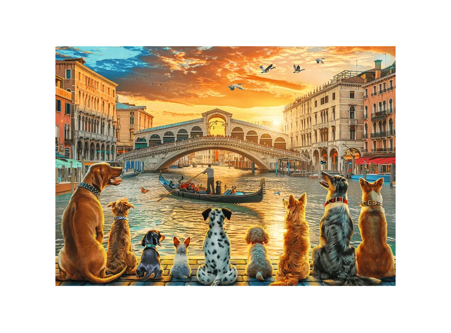 TREFL Puzzle Psy v Benátkach 1000 dielikov