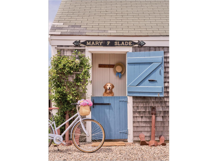 GALISON Puzzle Gray Malin: Nantucket 1000 dielikov
