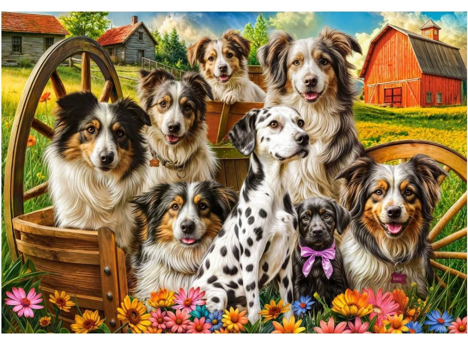 CASTORLAND Puzzle Šťastné psy na vidieku 1000 dielikov