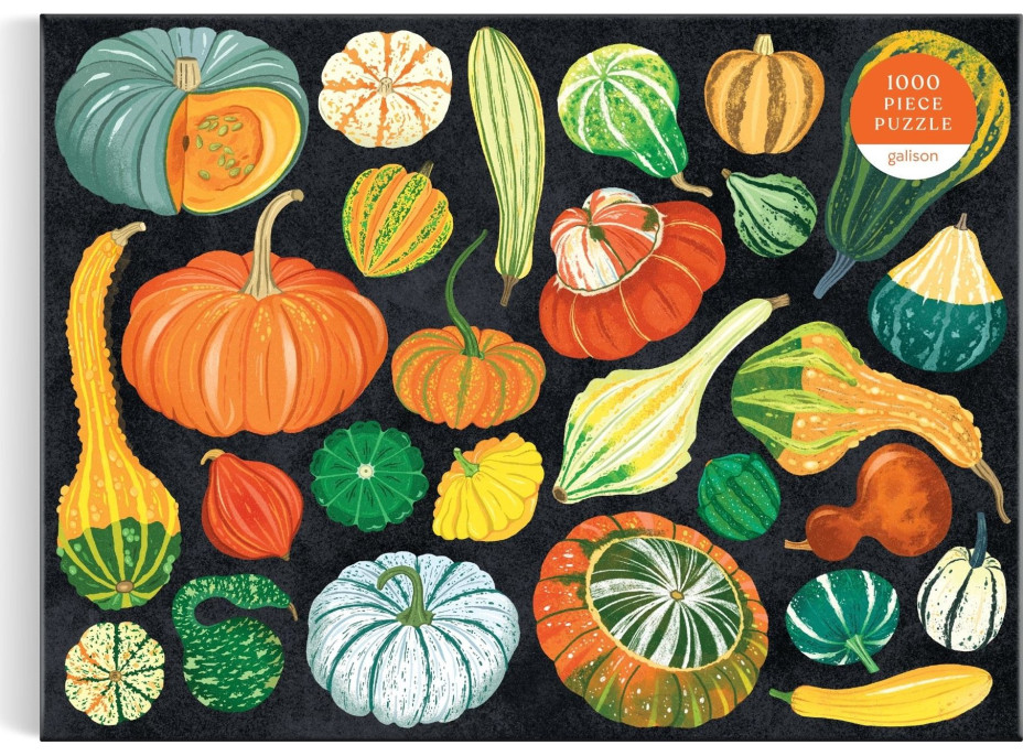 GALISON Puzzle Svet tekvíc 1000 dielikov