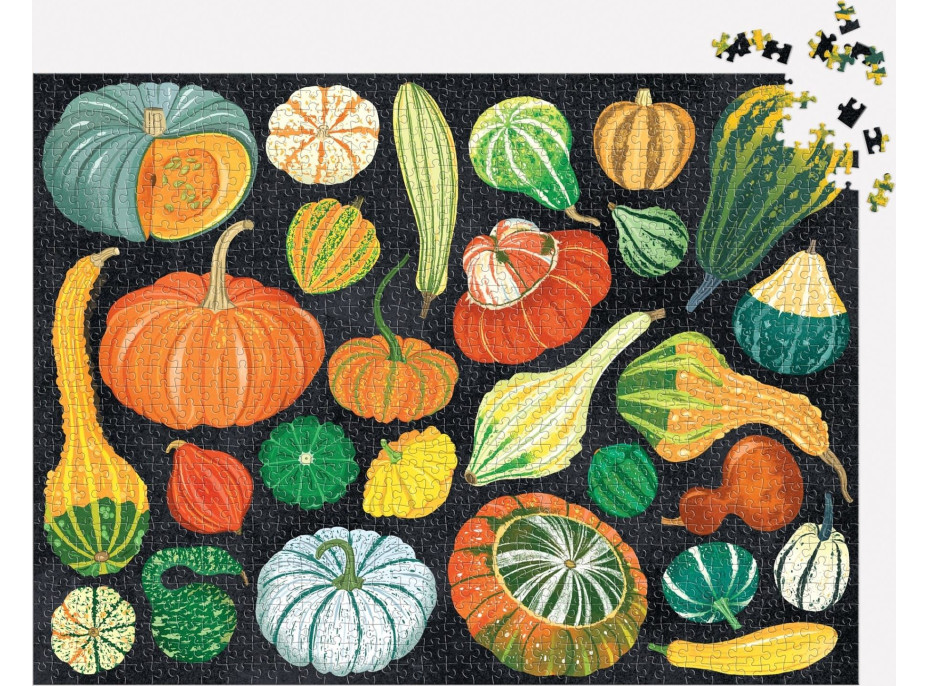 GALISON Puzzle Svet tekvíc 1000 dielikov