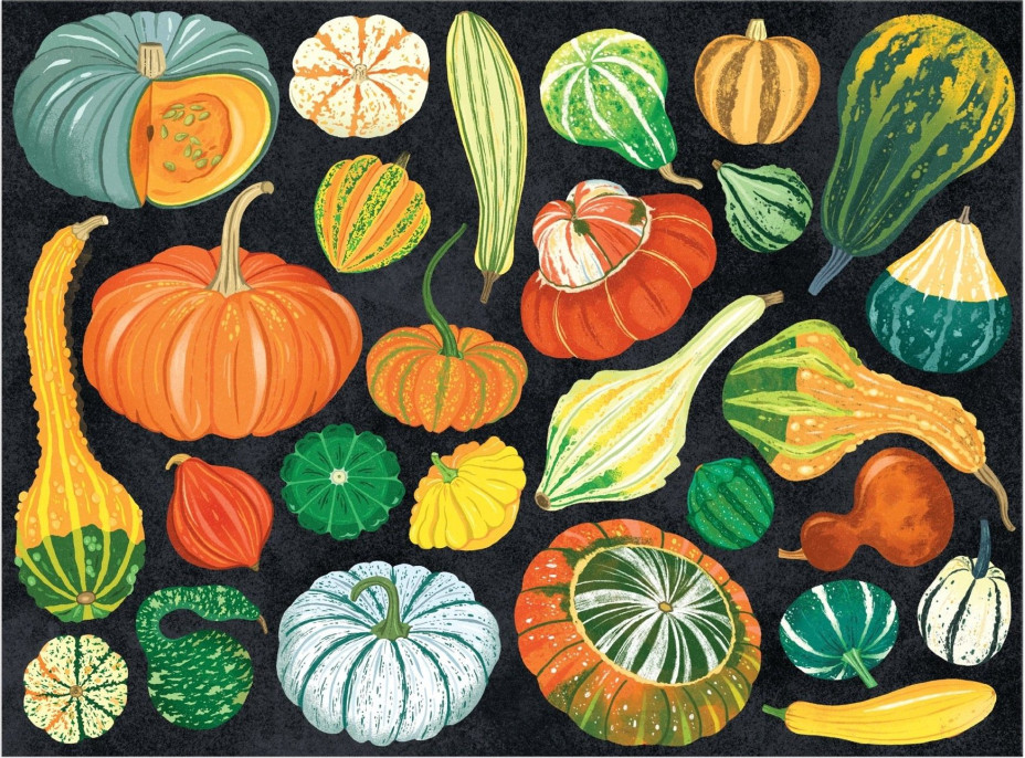 GALISON Puzzle Svet tekvíc 1000 dielikov