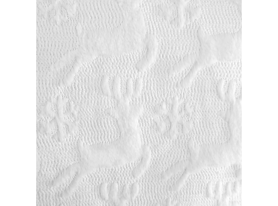 Obliečka na vankúš WINTER DREAM 45x45 cm - Sobi