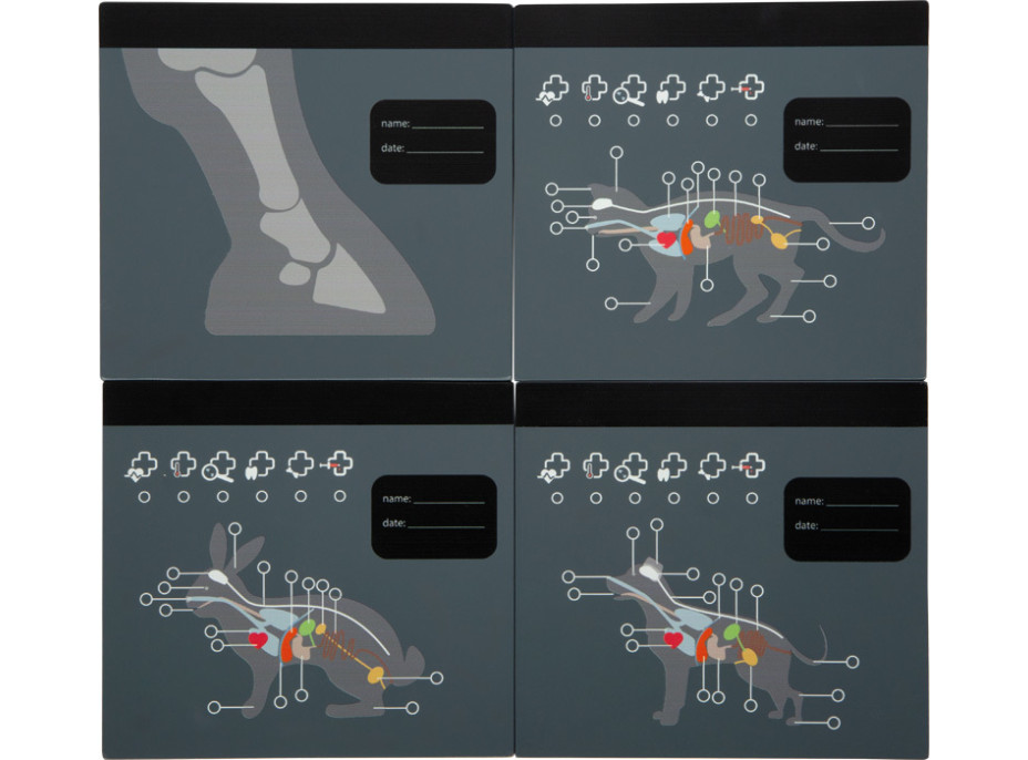 small foot Plyšový zajačik s opatrovateľskou veterinárnou sadou