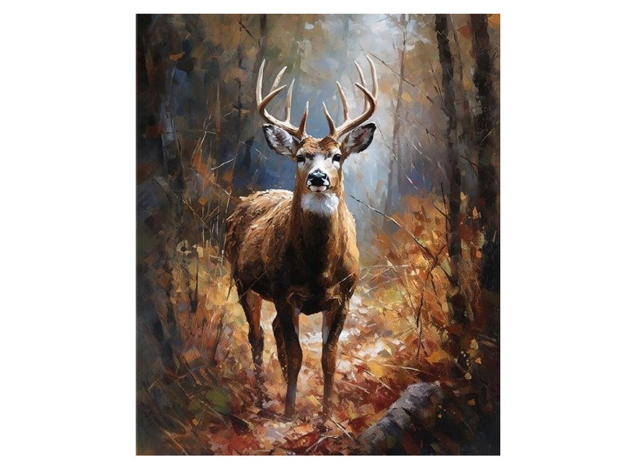 NORIMPEX Diamantové maľovanie Jeleň v lese 30x40cm