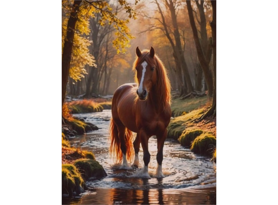 NORIMPEX Diamantové maľovanie Kôň v lesnom potoku 30x40cm