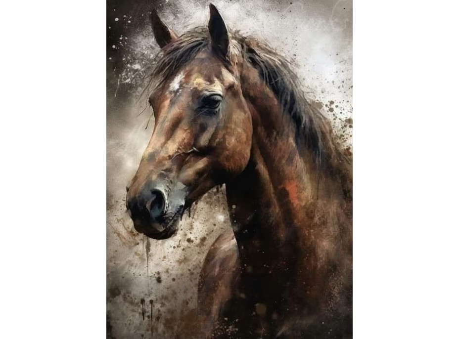 NORIMPEX Diamantové maľovanie Portrét koňa 30x40cm