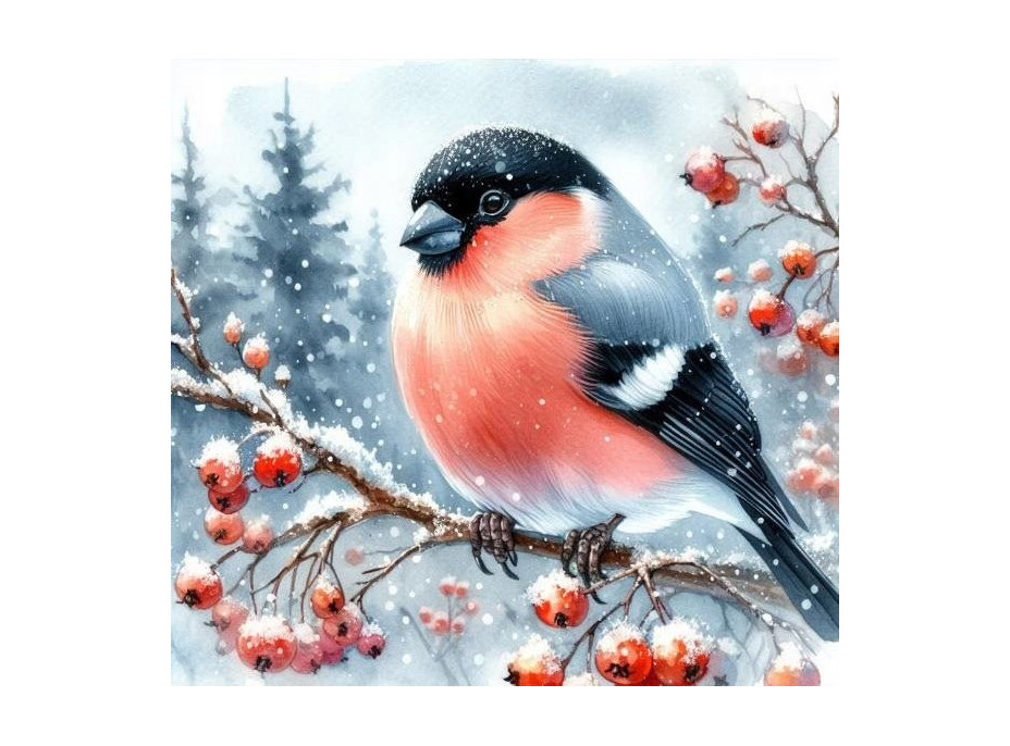 NORIMPEX Diamantové maľovanie Vtáčik v zime 30x40cm