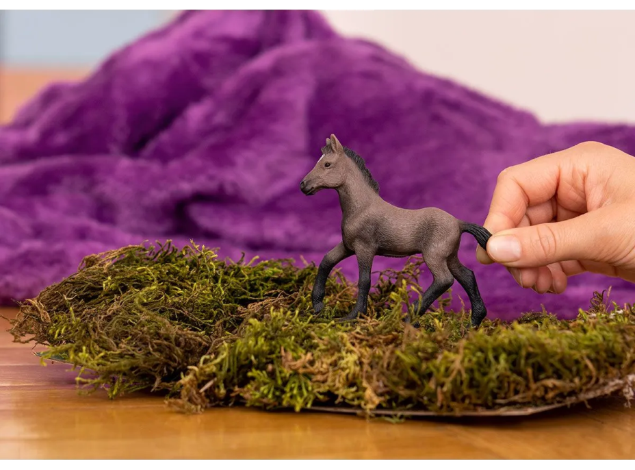SCHLEICH Horse Club® 13954 Kôň Peruánsky paso - žriebä