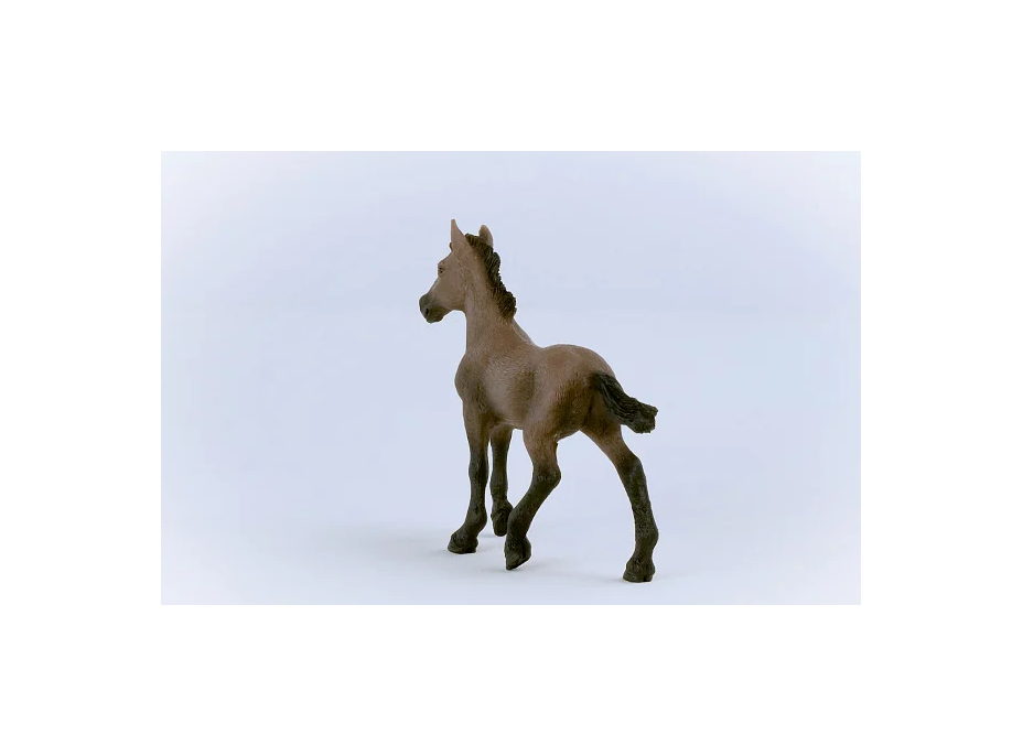 SCHLEICH Horse Club® 13954 Kôň Peruánsky paso - žriebä