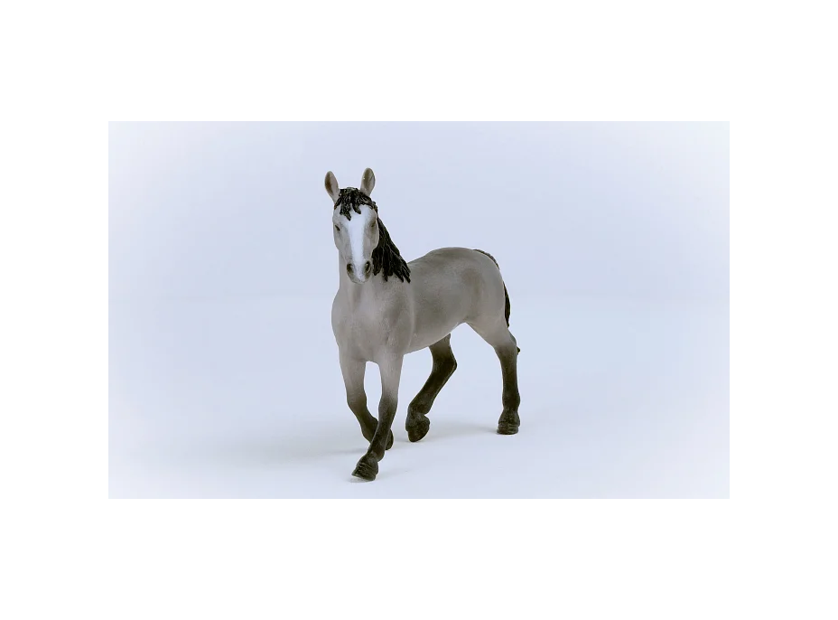 SCHLEICH Horse Club® 13955 Kôň Selle Français - kobyla
