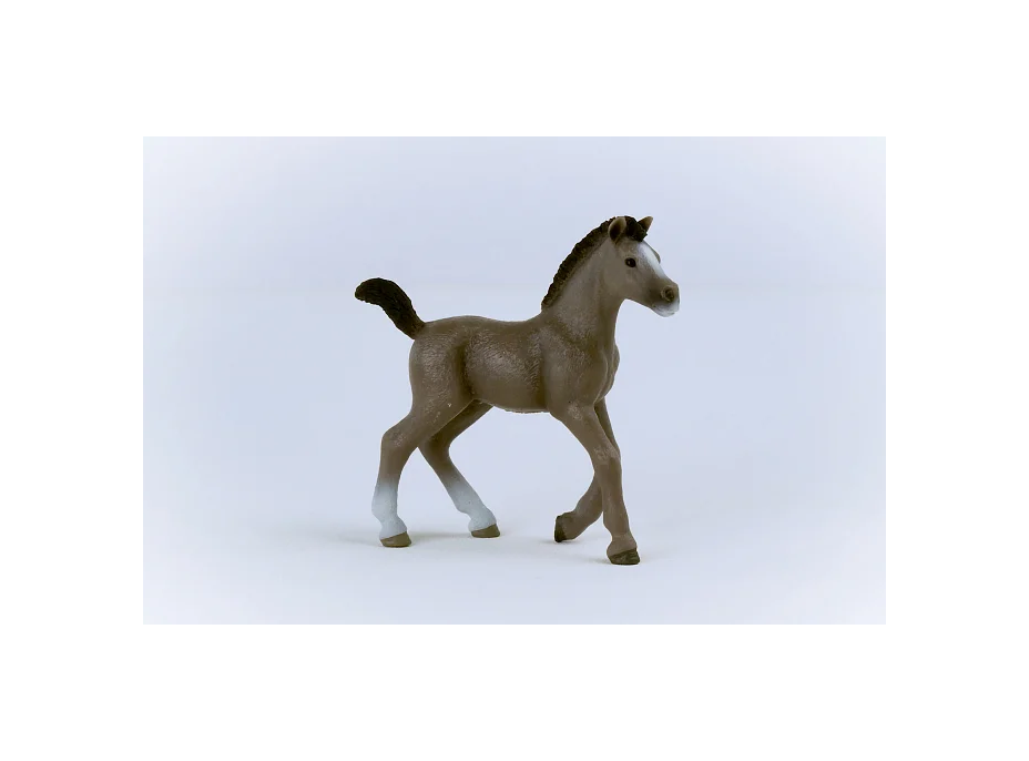 SCHLEICH Horse Club® 13957 Kôň Selle Français - žriebä