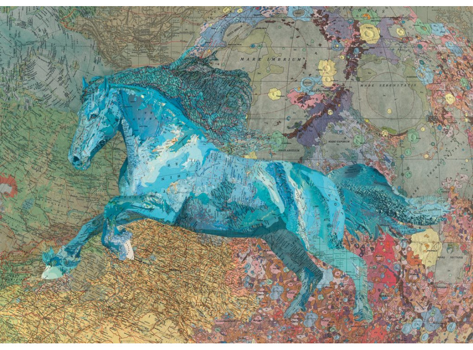 HEYE Puzzle Map Art: Kôň 2000 dielikov