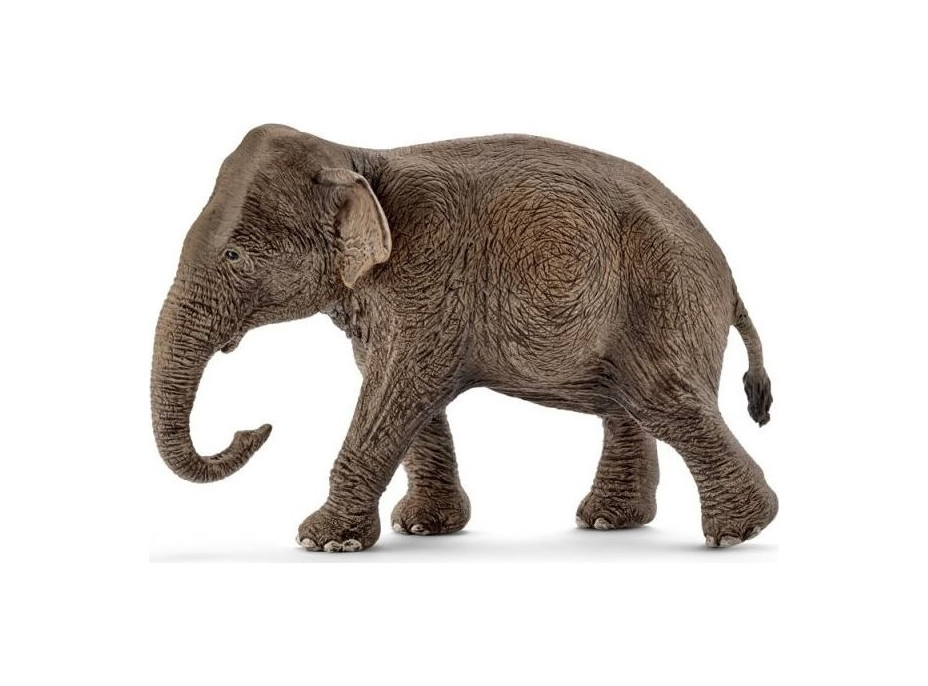SCHLEICH Wild Life® 14753 Ázijský slon samica