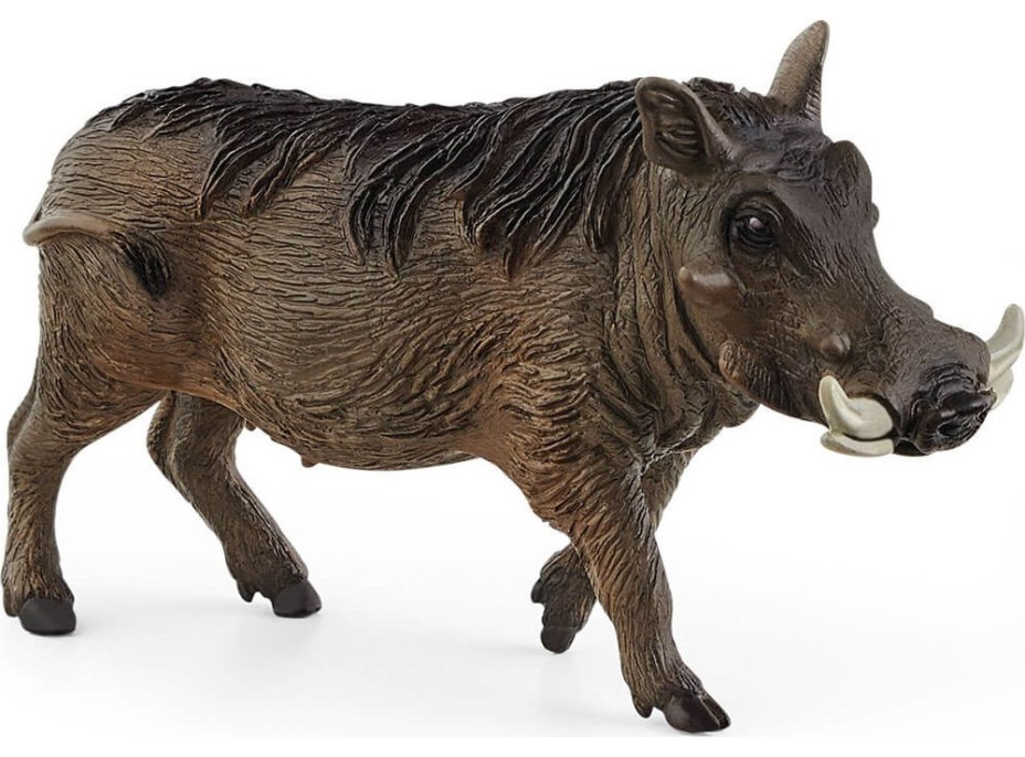 SCHLEICH Wild Life® 14843 Prasa bradavičnaté