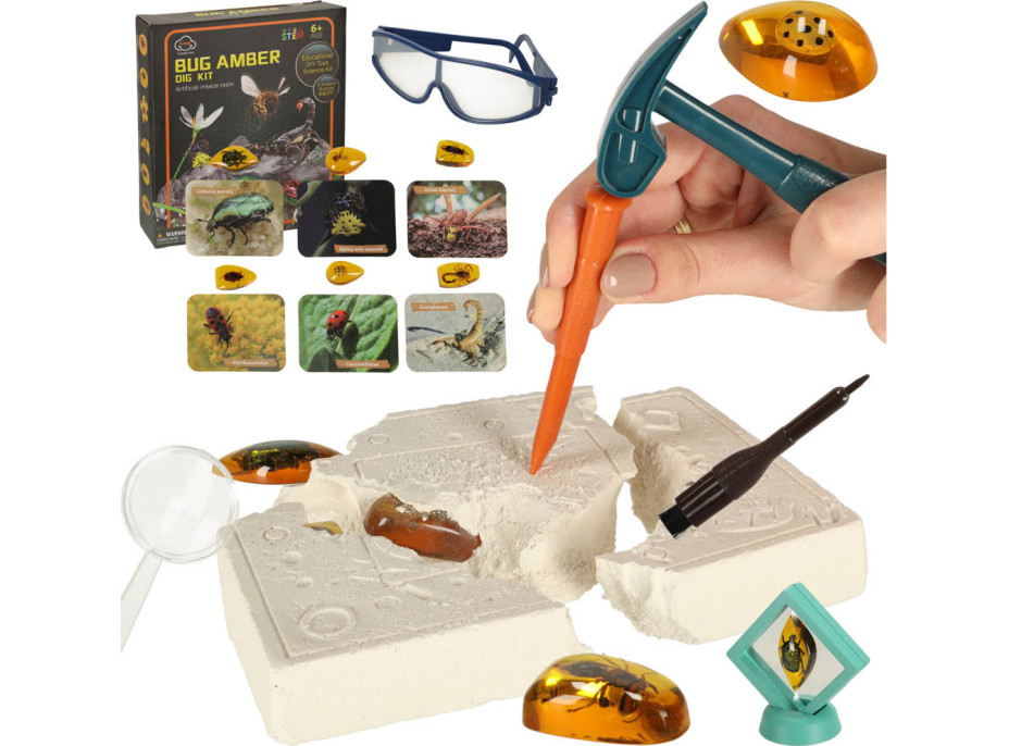 Archeologická sada - Jantárové fosílie hmyzu