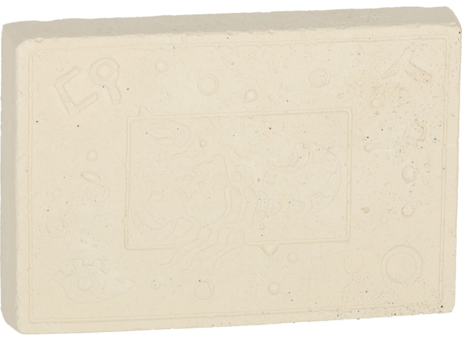 Archeologická sada - Jantárové fosílie hmyzu