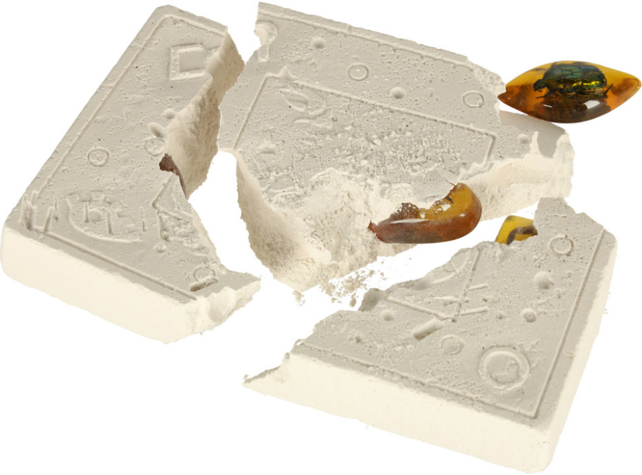 Archeologická sada - Jantárové fosílie hmyzu