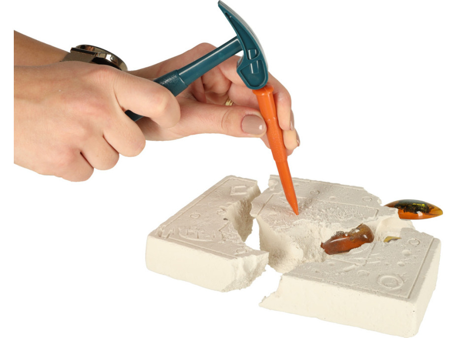 Archeologická sada - Jantárové fosílie hmyzu