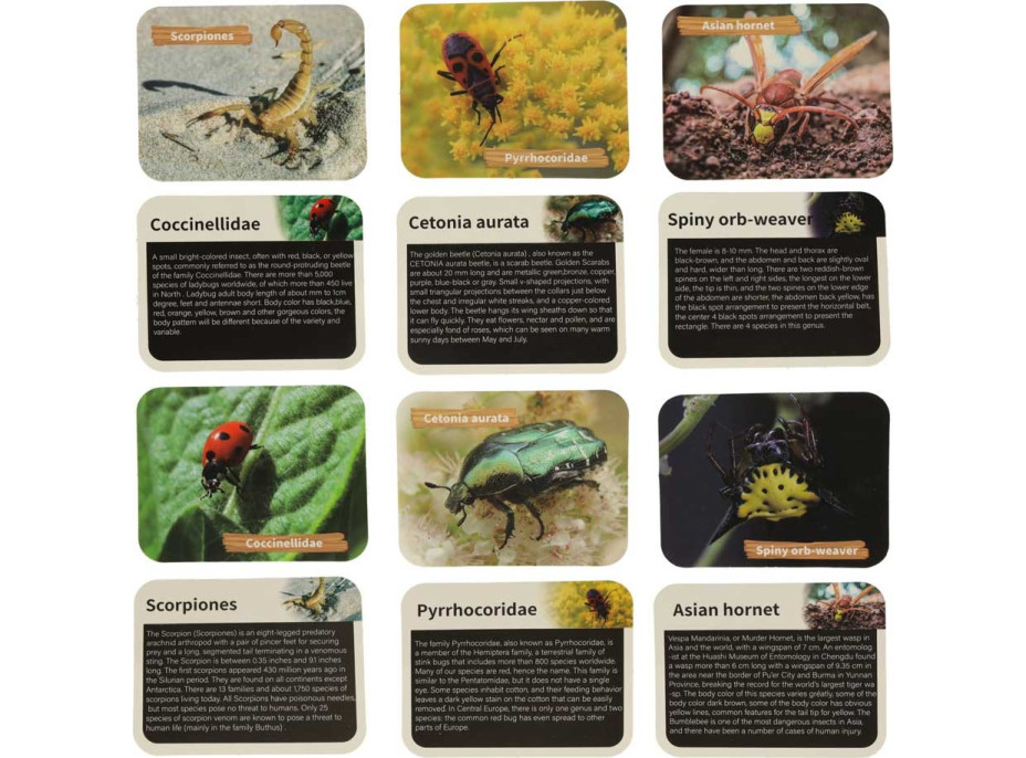 Archeologická sada - Jantárové fosílie hmyzu