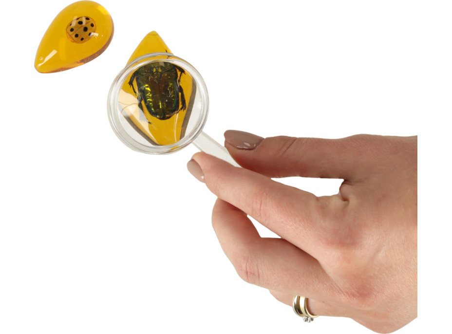 Archeologická sada - Jantárové fosílie hmyzu