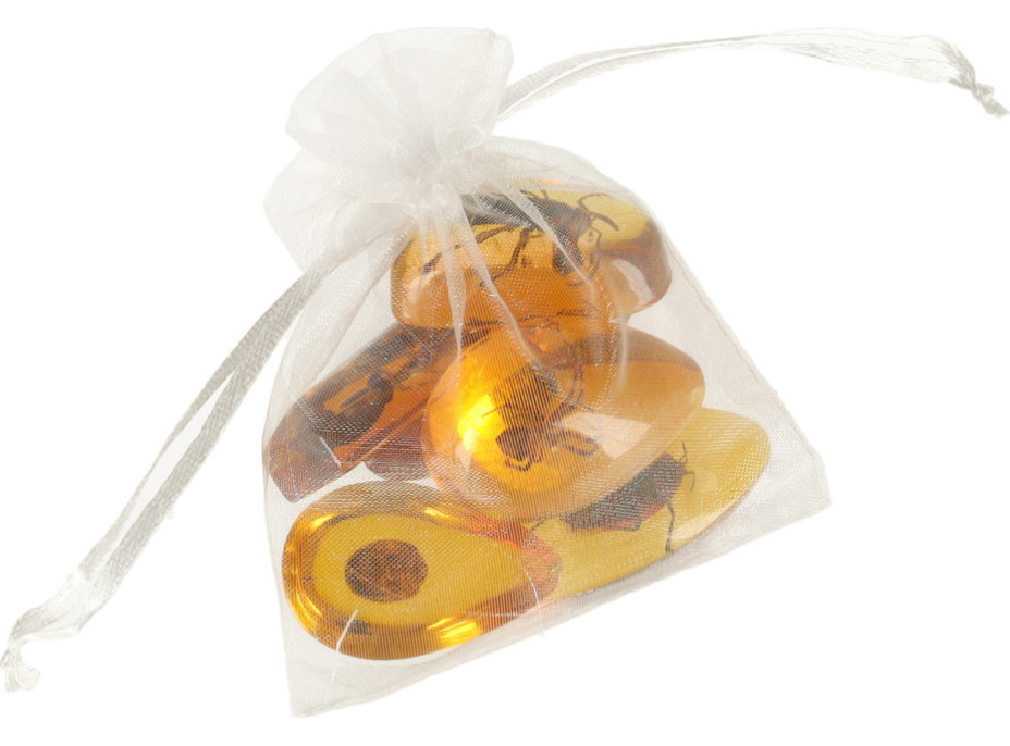 Archeologická sada - Jantárové fosílie hmyzu