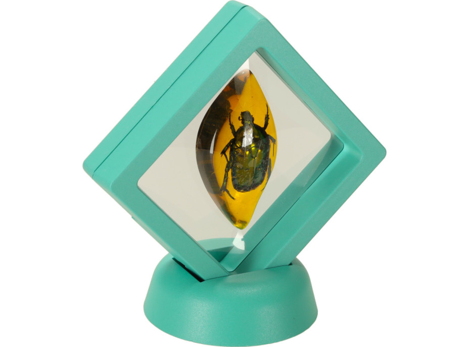 Archeologická sada - Jantárové fosílie hmyzu