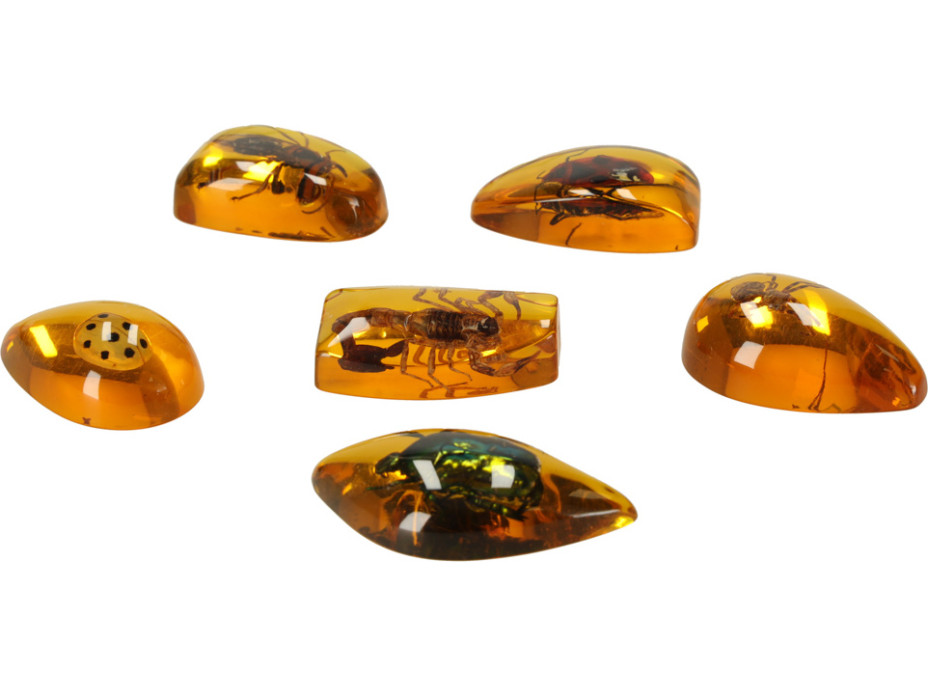 Archeologická sada - Jantárové fosílie hmyzu