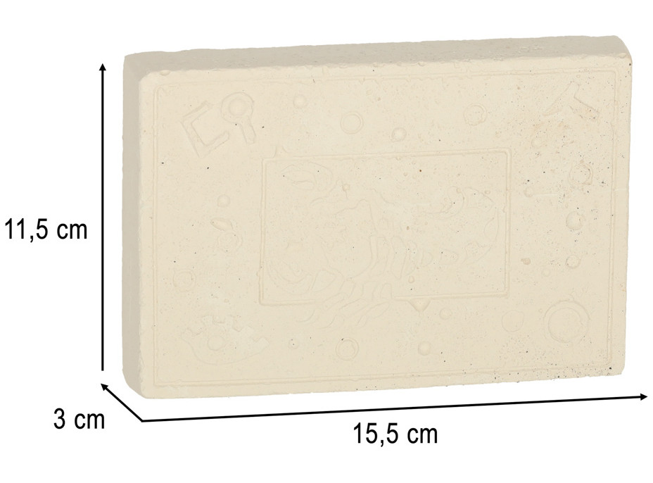 Archeologická sada - Jantárové fosílie hmyzu
