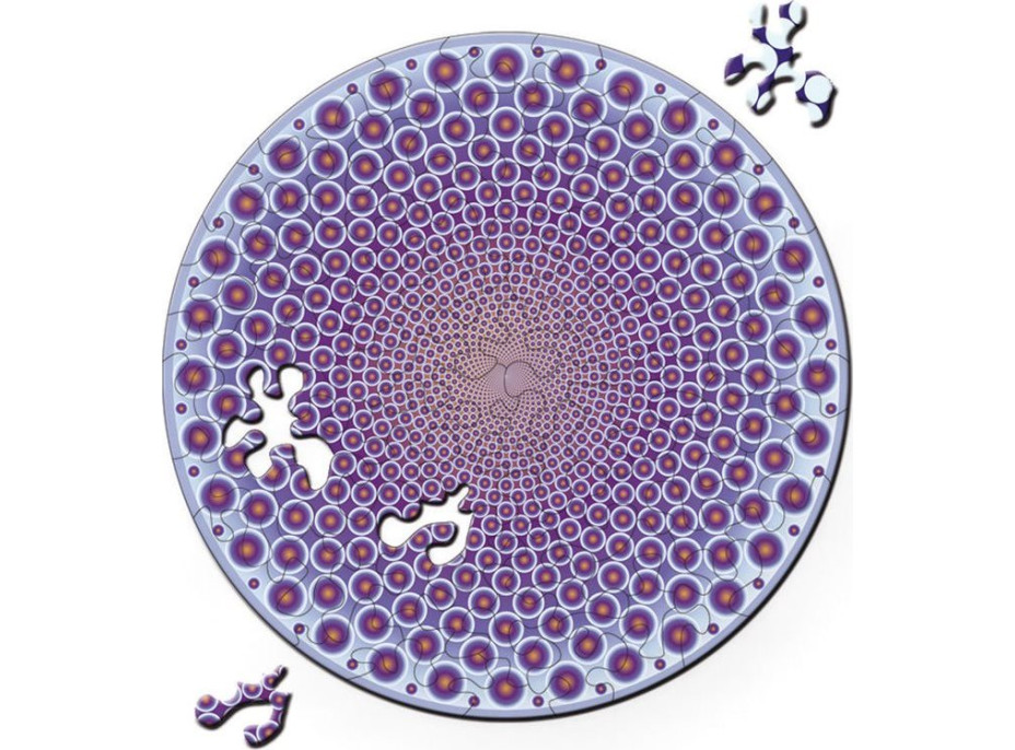 CURIOSI Obojstranné drevené puzzle Double: Body 88 dielikov