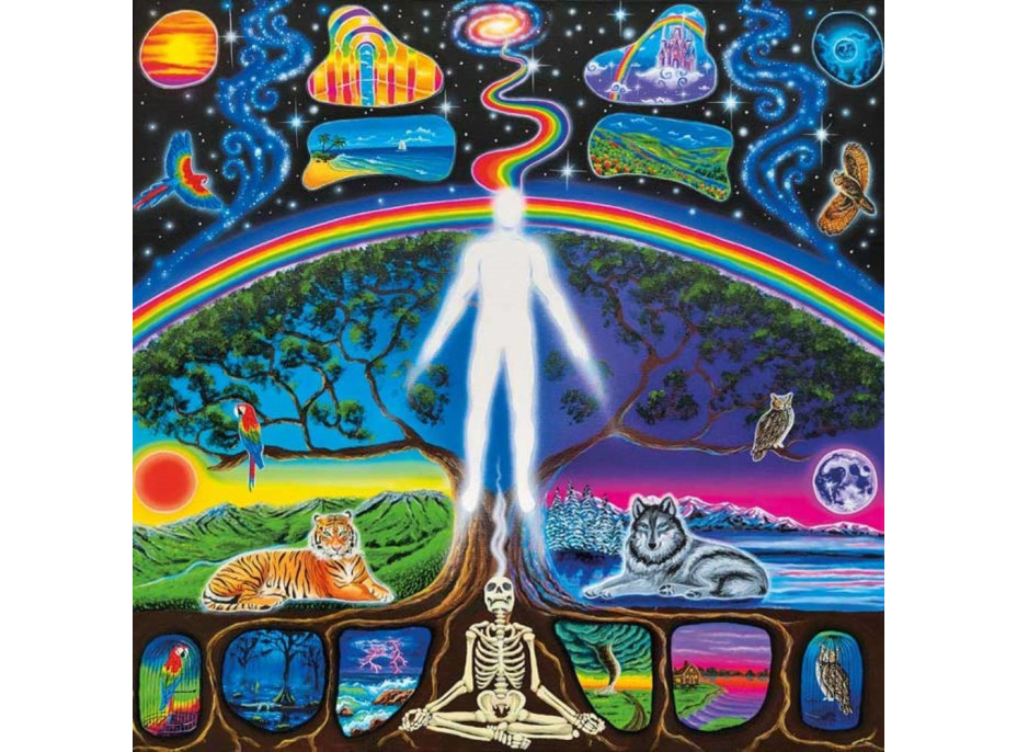 MAGNOLIA Puzzle Cesta duše 1023 dielikov