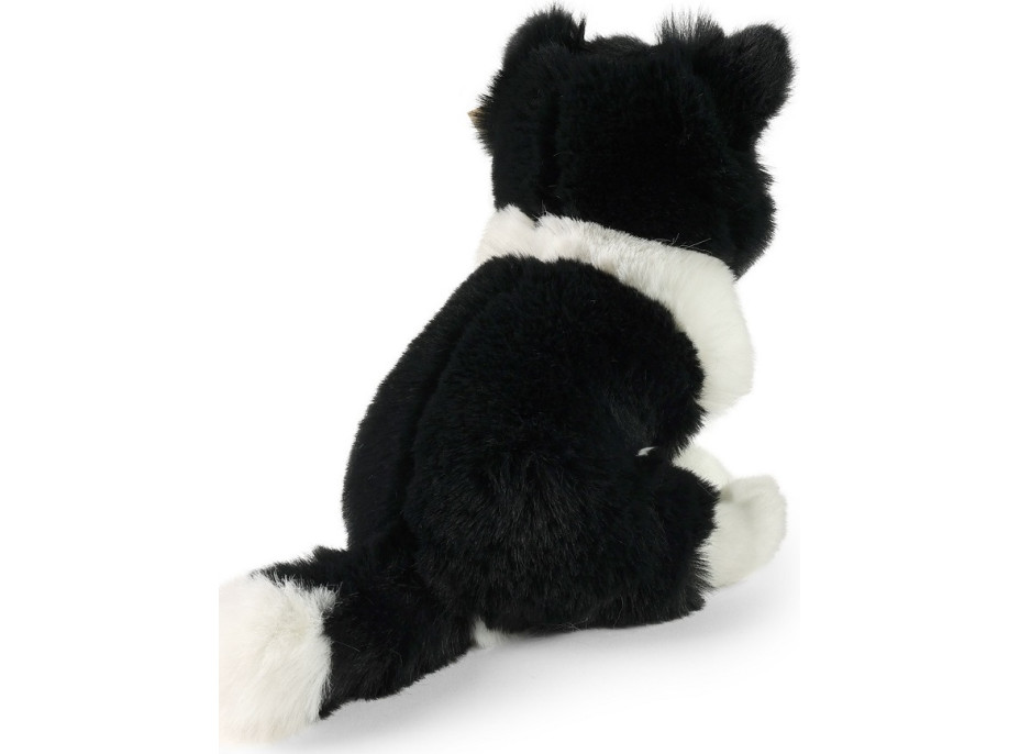 Rappa Plyšový pes border kólia 23 cm SOFT COLLECTION, ECO-FRIENDLY