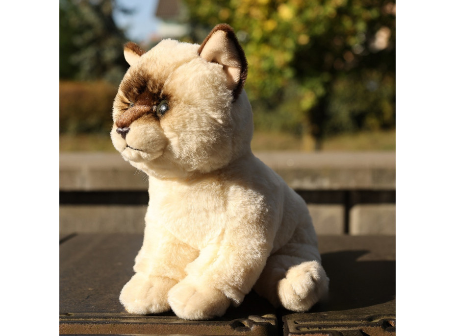 Rappa Plyšová mačka Ragdoll 23 cm ECO-FRIENDLY SOFT