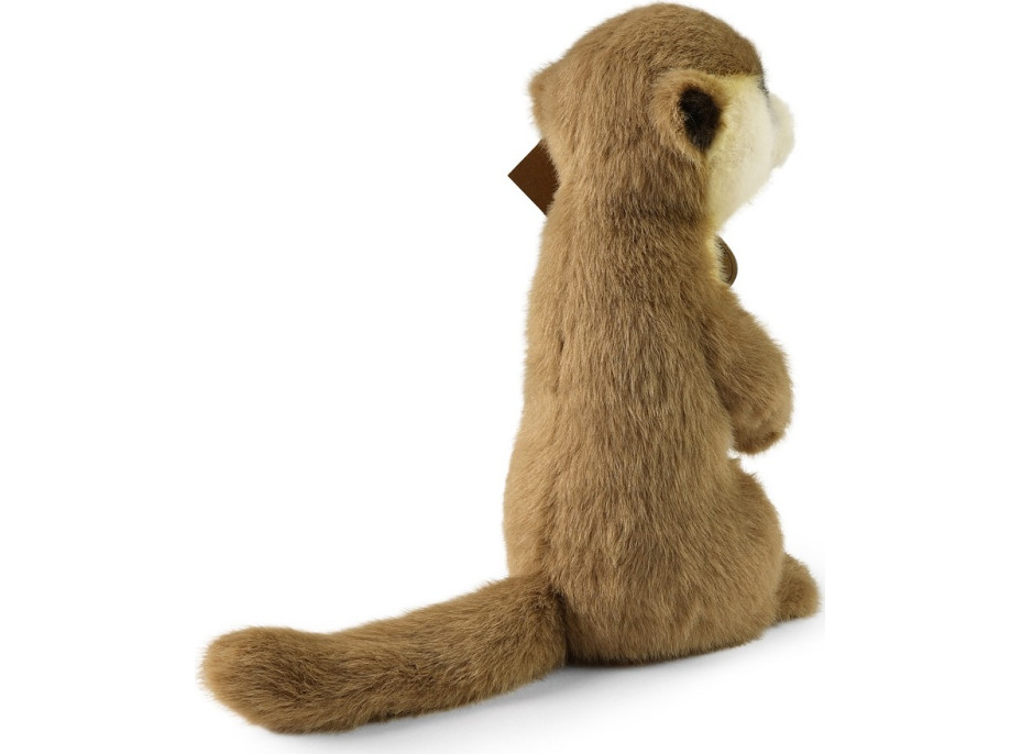 Rappa Plyšová surikata 23 cm SOFT COLLECTION, ECO-FRIENDLY