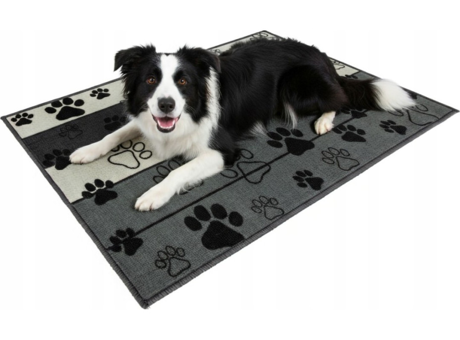 Koberec pre psov Paws & Chill 50x80 cm - šedý