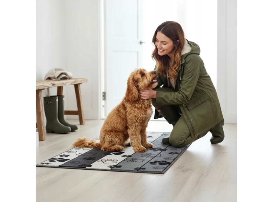 Koberec pre psov Paws & Chill 50x80 cm - šedý