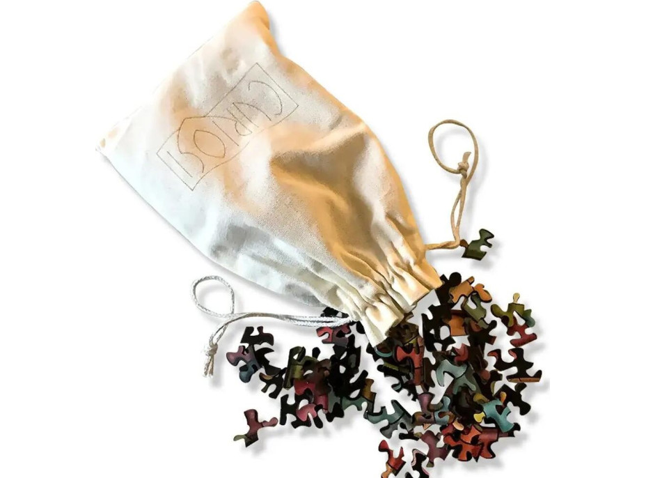 CURIOSI Obojstranné drevené puzzle Double: Stonožka 324 dielikov