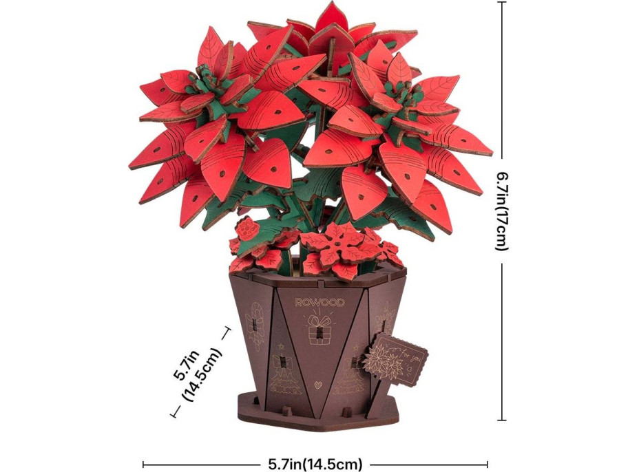 ROBOTIME Rowood 3D drevené puzzle Vianočná hviezda 153 dielikov