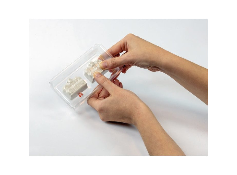 CLEMENTÓNI Stranger Things Dom Večný