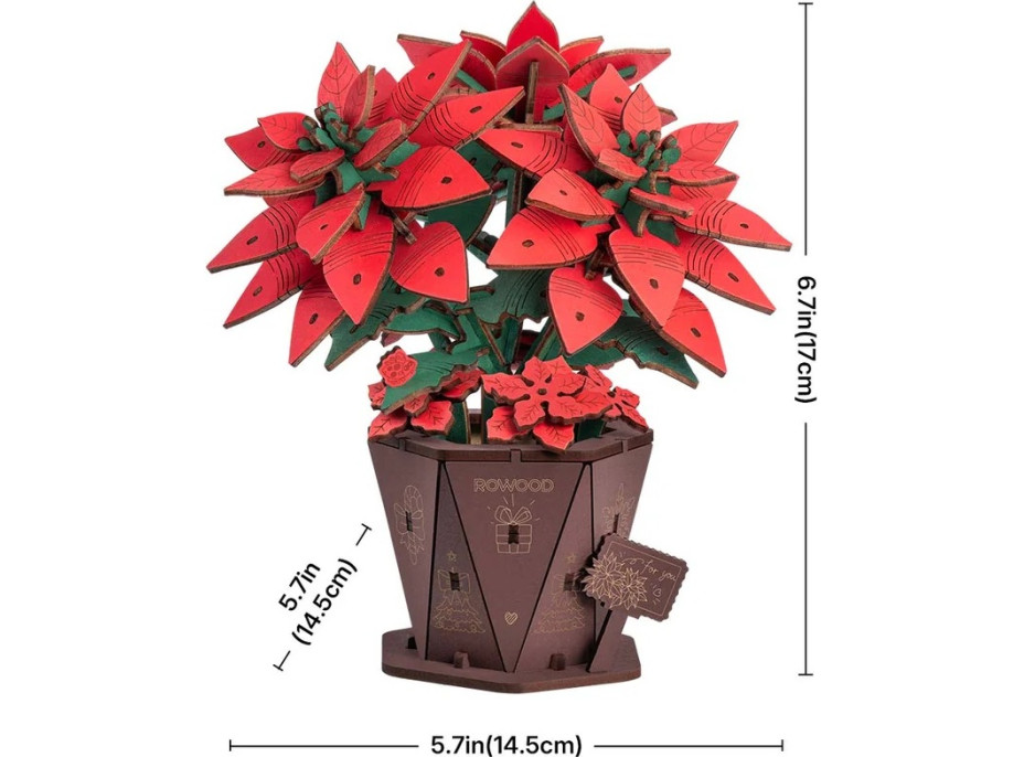 RoboTime 3D drevená skladačka Vianočná hviezda