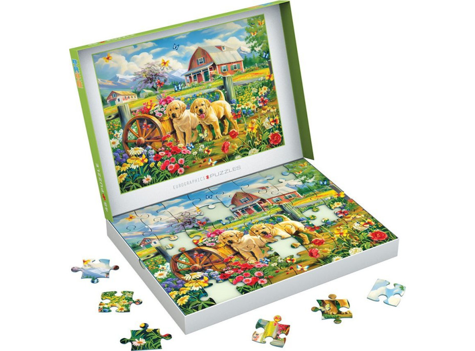 EUROGRAPHICS Puzzle Connecting Pieces: Šteňatá na jar 48 dielikov