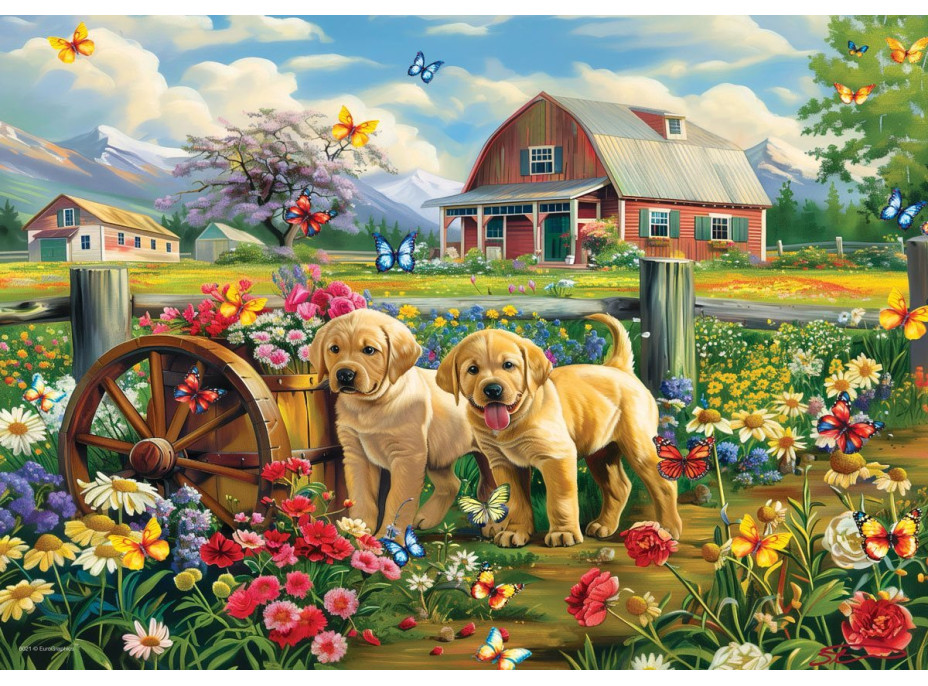 EUROGRAPHICS Puzzle Connecting Pieces: Šteňatá na jar 48 dielikov