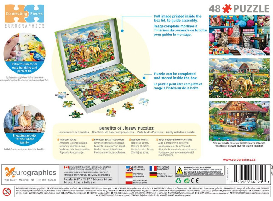 EUROGRAPHICS Puzzle Connecting Pieces: Šteňatá na jar 48 dielikov