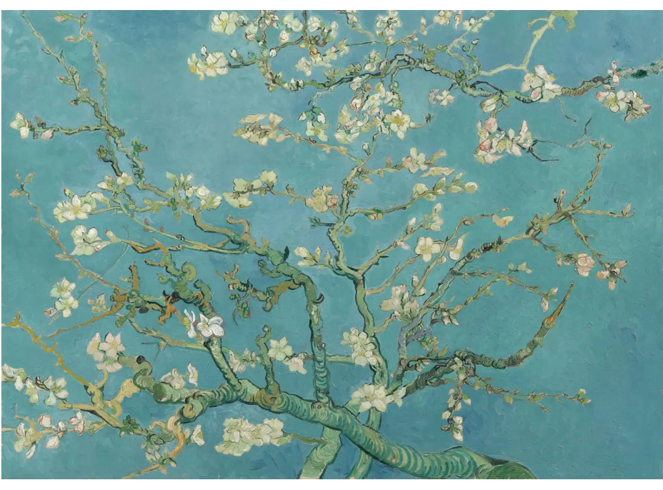 ANATOLIAN Puzzle Mandľový kvet XL 700 dielikov