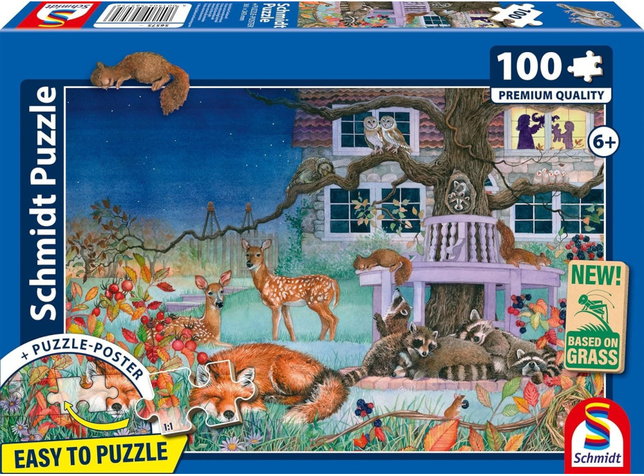 SCHMIDT Puzzle Nočná návšteva 100 dielikov