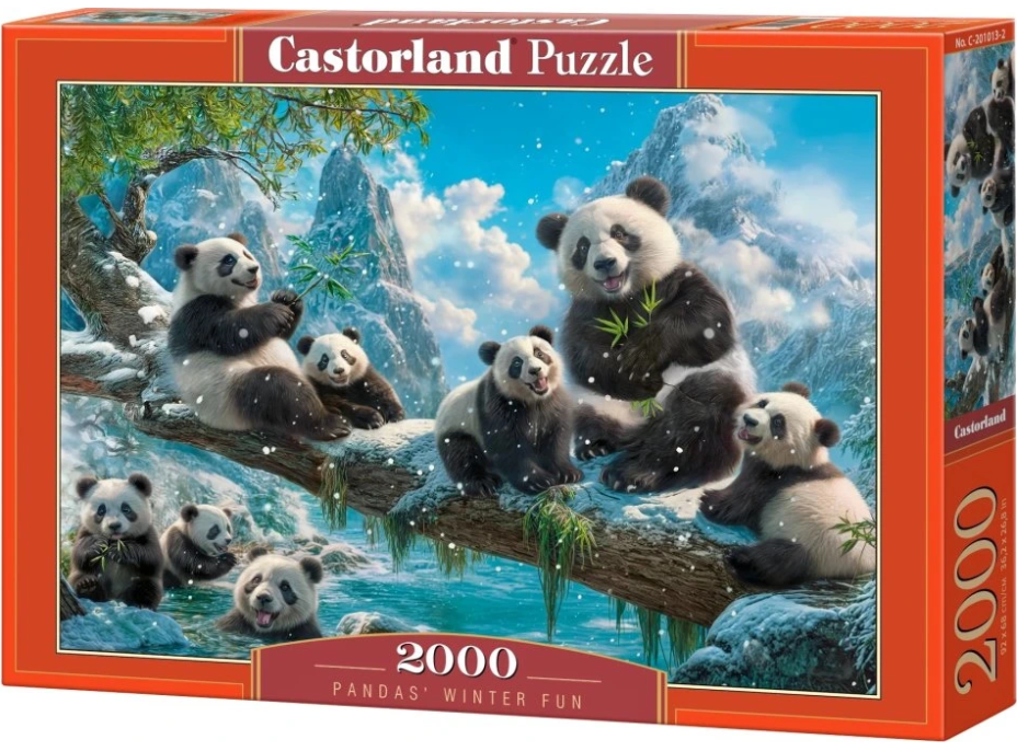 CASTORLAND Puzzle Pandí zimná zábava 2000 dielikov