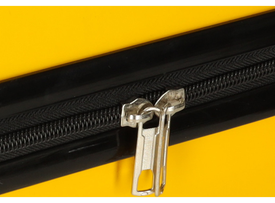 Detský cestovný kufor na kolieskach - Lev